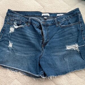 Sofia by Sofia Vergara Distressed Blue Jean Shorts
